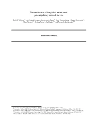 Reconstruction of the Global Neural Crest Gene Regulatory Network in Vivo