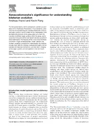 Xenacoelomorpha's Significance for Understanding Bilaterian Evolution