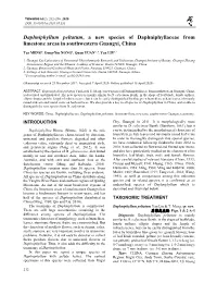 Daphniphyllum Peltatum, a New Species of Daphniphyllaceae from Limestone Areas in Southwestern Guangxi, China