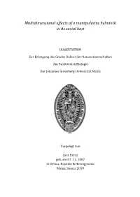 Multidimensional Effects of a Manipulative Helminth in Its Social Host
