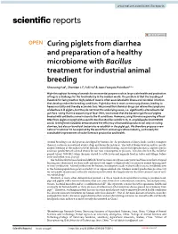 Curing Piglets from Diarrhea and Preparation of a Healthy