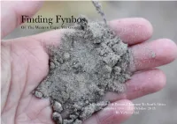 Finding Fynbos of the Western Cape, Via Grootbos