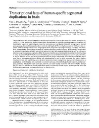 Transcriptional Fates of Human-Specific Segmental Duplications in Brain