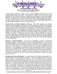 Orchid Disease Control Part 2 - Bacterial and Fungal Infections by Sue Bottom, Sbottom15@Hotmail.Com