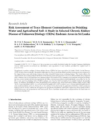 Risk Assessment of Trace Element Contamination in Drinking Water