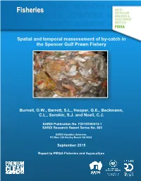 Spatial and Temporal Reassessment of By-Catch in the Spencer Gulf Prawn Fishery