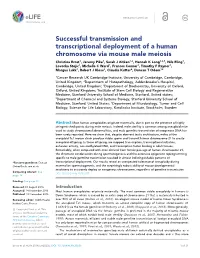 Successful Transmission and Transcriptional Deployment of A