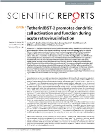 Tetherin/BST-2 Promotes Dendritic Cell Activation and Function During Acute Retrovirus Infection Received: 21 October 2015 Sam X