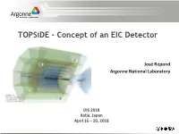 Topside – Concept of an EIC Detector