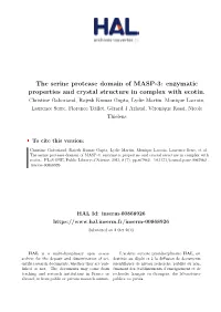 The Serine Protease Domain of MASP-3: Enzymatic Properties and Crystal Structure in Complex with Ecotin
