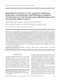 Reproductive Isolation of Two Sympatric Louseworts, Pedicularis