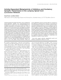 Activity-Dependent Metaplasticity of Inhibitory and Excitatory Synaptic Transmission in the Lamprey Spinal Cord Locomotor Network
