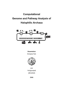 Computational Genome and Pathway Analysis of Halophilic Archaea