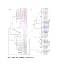 Neighbor Joining (NJ) Tree Based on the Different Data Sets