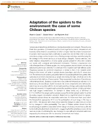 Adaptation of the Spiders to the Environment: the Case of Some Chilean Species