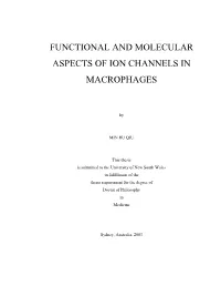 Functional and Molecular Aspects of Ion Channels in Macrophages
