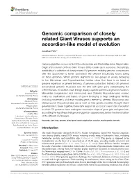 Genomic Comparison of Closely Related Giant Viruses Supports an Accordion-Like Model of Evolution