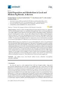 Lipid Deposition and Metabolism in Local and Modern Pig Breeds: a Review