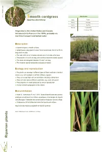 Managing Smooth Cord-Grass in Britanny