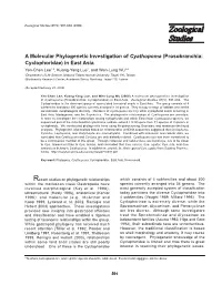 Prosobranchia: Cyclophoridae