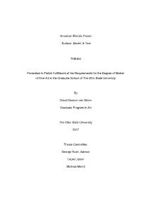 Surface, Model, & Text THESIS Presented in Partial Fulfillment Of