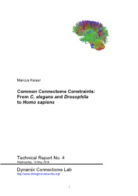Common Connectome Constraints: from C
