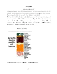 LECTUER 9 SOIL MORPHOLOGY Soil Morphology Is the Aspect of Soil Science That Deals with Field Observable Attributes of a Soil Wi