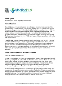 PHKB Gene Phosphorylase Kinase Regulatory Subunit Beta