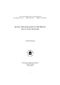 Zonal Organization of the Mouse Olfactory Systems
