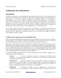 Codificación De La Información