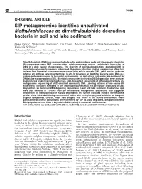 SIP Metagenomics Identifies Uncultivated Methylophilaceae As Dimethylsulphide Degrading Bacteria in Soil and Lake Sediment
