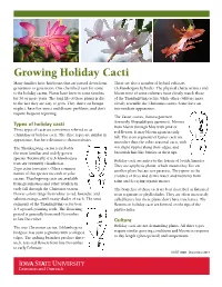 Growing Holiday Cacti Many Families Have Heirlooms That Are Passed Down from There Are Also a Number of Hybrid Cultivars Generation to Generation