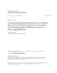 Comparing Independent Approaches To