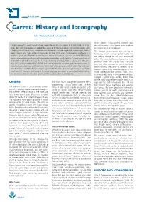Extract Here