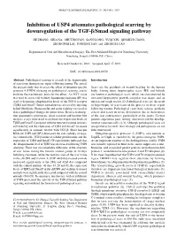 Inhibition of USP4 Attenuates Pathological Scarring by Downregulation of the TGF‑Β/Smad Signaling Pathway
