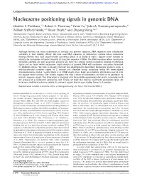 Nucleosome Positioning Signals in Genomic DNA