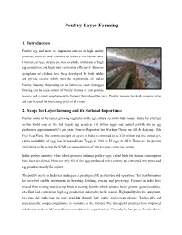 Poultry Layer Farming