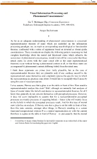 Visual Information Processing and Phenomenal Consciousness*