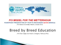 FCI MODEL for the WETTERHOUN POWERPOINT PRESENTATION of YOUR FCI RECOGNIZED NATIVE BREED(S) (FCI General Committee, Helsinki, October 2013)