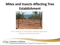 Mites and Insects Affecting Tree Establishment