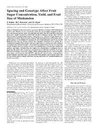 Spacing and Genotype Affect Fruit Sugar Concentration, Yield, and Fruit Size of Muskmelon