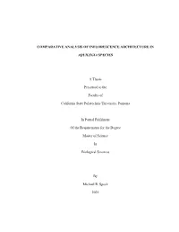 Comparative Analysis of Inflorescence Architecture In