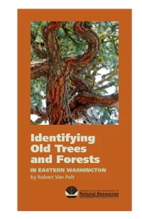 Identifying Old Trees and Forests