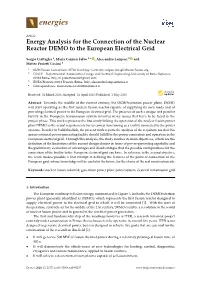 Energy Analysis for the Connection of the Nuclear Reactor DEMO to the European Electrical Grid