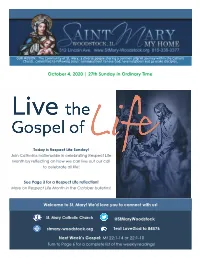 October 4, 2020 | 27Th Sunday in Ordinary Time
