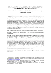 TEMPORAL DYNAMICS of FEEDING and REPRODUCTION of the DAMSEL FISH (Stegastes Fuscus)