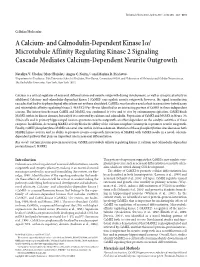 A Calcium- and Calmodulin-Dependent Kinase I␣/ Microtubule Affinity Regulating Kinase 2 Signaling Cascade Mediates Calcium-Dependent Neurite Outgrowth