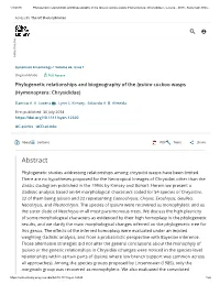 Phylogenetic Analyses