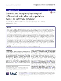 Genetic and Morpho-Physiological Differentiation in a Limpet Population