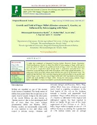 Growth and Yield of Finger Millet (Eleusine Coracana L. Gaertn.) As Influenced by Intercropping with Pulses